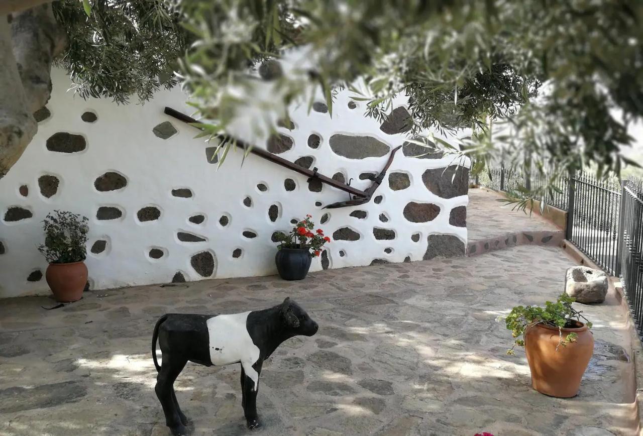 La Casa Vieja De La Montana Villa Santa Lucia De Tirajana Ngoại thất bức ảnh